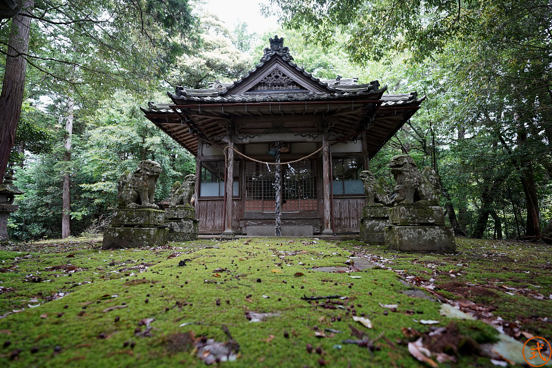 管理人はいつもこんな感じの写真を撮っている。山の中の神社とかは薄暗くて明るいレンズが欲しい。
α7III＋FE 16-35mm F2.8 GM SEL1635GMの組み合わせはなかなか良かった。