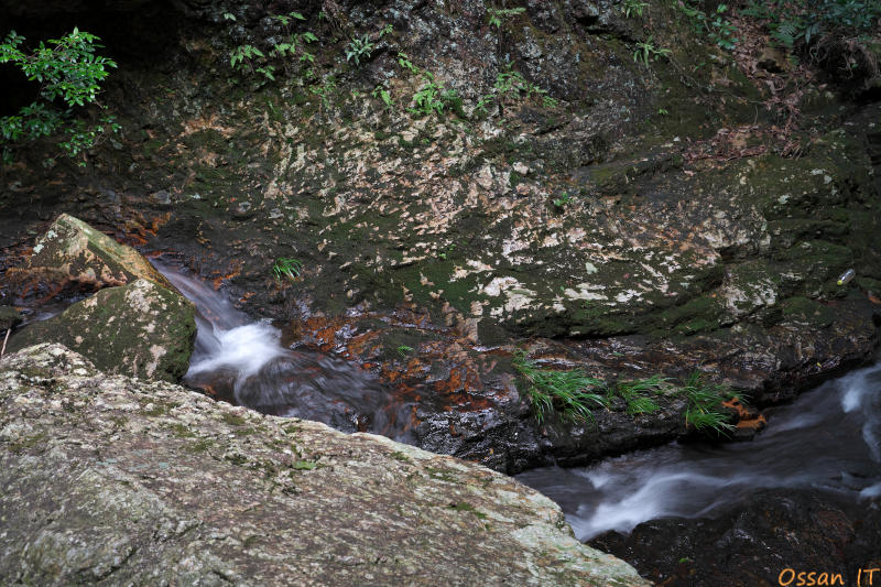 ILCE-7RM3、2025:08:16、1/4、F8.00、ISO100、-0.70、35mm、E 35-150mm F2.0-F2.8 A058