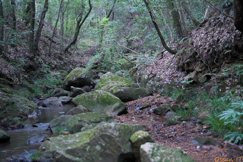 ILCE-7RM3、2025:08:16、1/30、F2.80、ISO400、-0.70、64mm、E 35-150mm F2.0-F2.8 A058