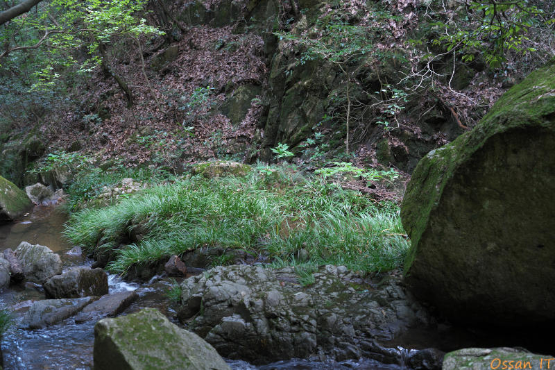 ILCE-7RM3、2025:08:16、1/30、F2.80、ISO250、-1.00、40mm、E 35-150mm F2.0-F2.8 A058