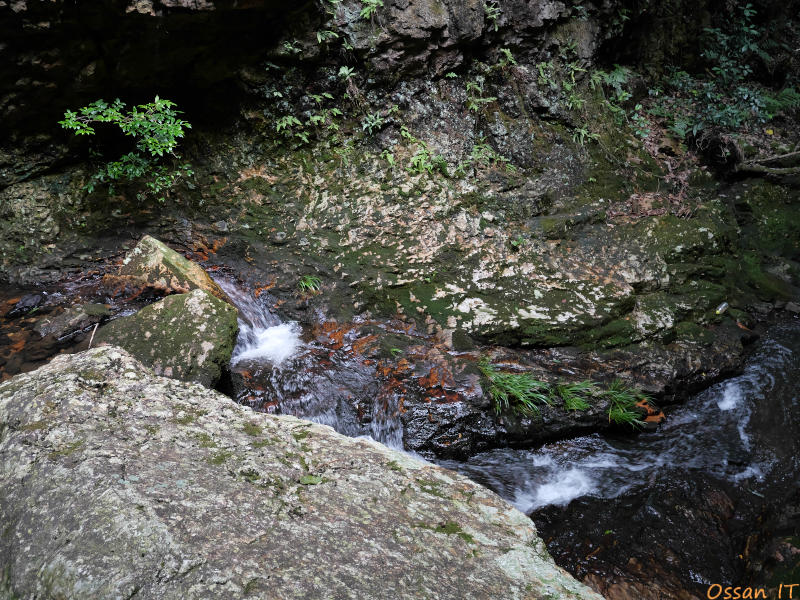 DC-G100D、2025:08:16、1/60、F3.50、ISO500、-0.66、24mm（換算）